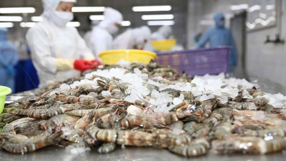 Shrimp exports enjoy double-digit growth over 10 months